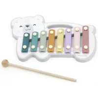 Xilofon VIGA Polar-B 3 ani / Multicolor