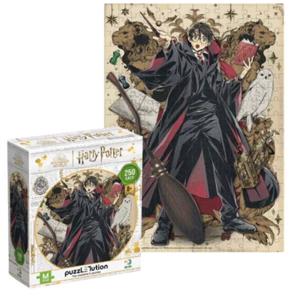 Puzzle DoDo Династия волшебников. Гарри 8+/ Количество деталей: 250 photo 1