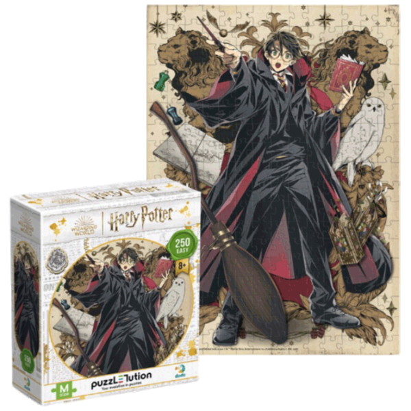 Puzzle DoDo Династия волшебников. Гарри 8+/ Количество деталей: 250 photo 1