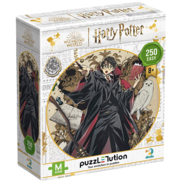 Puzzle DoDo Династия волшебников. Гарри 8+/ Количество деталей: 250 photo 3
