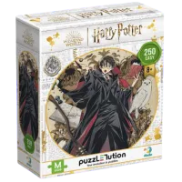 Puzzle DoDo Dinastia de vrăjitori. Harry 8+/ Numărul de piese: 250 photo 3