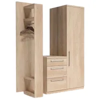 Комплект для прихожей Indart SET DE MODULE 01 ДСП / Сонома