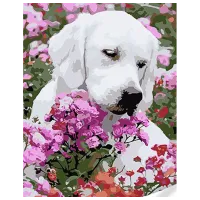 Картина по номерам Strateg Лабрадор в волшебных цветах SS1135 40 x 30 cm / Вертикальная