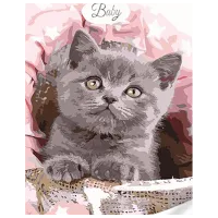 Картина по номерам Strateg Пушистый британец SS1076 40 x 30 cm / Вертикальная