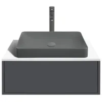 Dulap cu lavoar Montebella Neo Pe perete / PAL / Gray