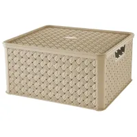 Cutie Tontarelli Arianna 13l / Plastic