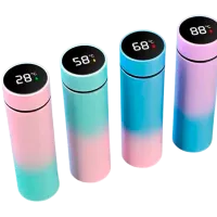 Термобутылка Miscellaneous Classic 4164 Разноцветный 0.5л