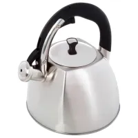 Чайник Maestro MR-1333-S 2.2л Нержавеющая сталь / Пластик / Серебряный