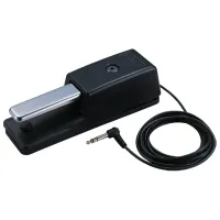  Педаль сустейн Roland DP-10 Металл / 1