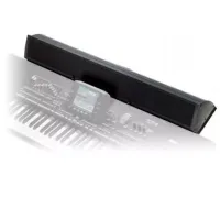 Колонка Korg Pa3x Алюминий / 1 photo 2