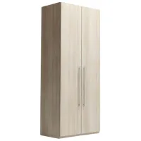 Шкаф для прихожей Indart 03 ДСП / Разноцветный