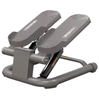 Stepper Insportline 26625 110 kg / Gray