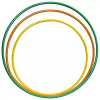 Cerc pentru sport Miscellaneous 00387  Multicolor