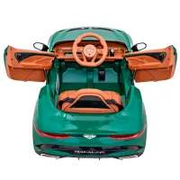 Mașină electrică Bentley Bacalar Richi Tichi JE1008/2 / 30 kg / 3+ / Green photo 9