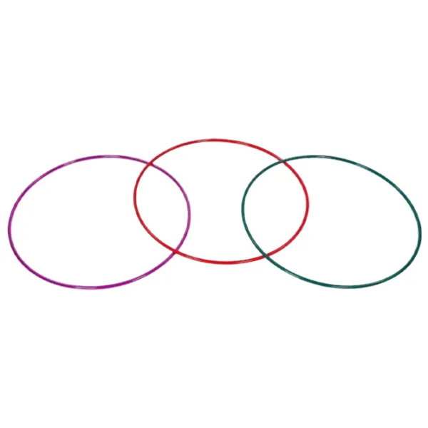 Cerc pentru sport Arena Sport U5894 Multicolor photo 1