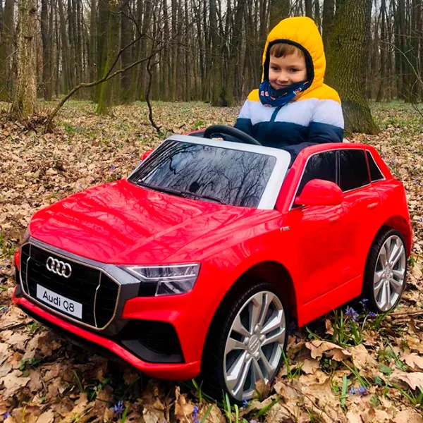 Электромобиль Audi Q8 Richi Tichi JJ2066 8 км/ч / 30 кг / 3+ / Красный photo 13 Электромобиль Audi Q8 Richi Tichi JJ2066 8 км/ч / 30 кг / 3+ / Красный photo 13