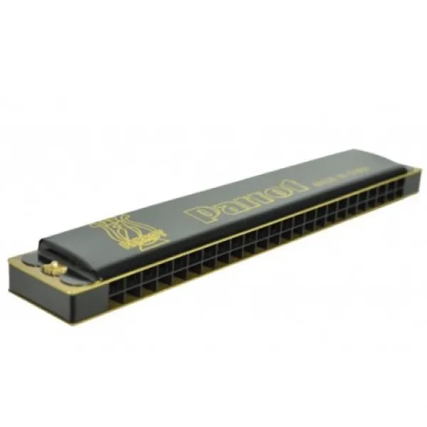 Губная гармоника Parrot HD24-1 BK  Диатонический / 24 photo 1