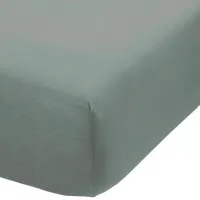 Cearșaf Ambiante Cotton Uni Bumbac