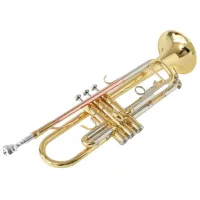  Труба Parrot 6416L-1 Латунь / Bb