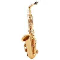Saxofon Parrot 6430 L Alamă / Alto