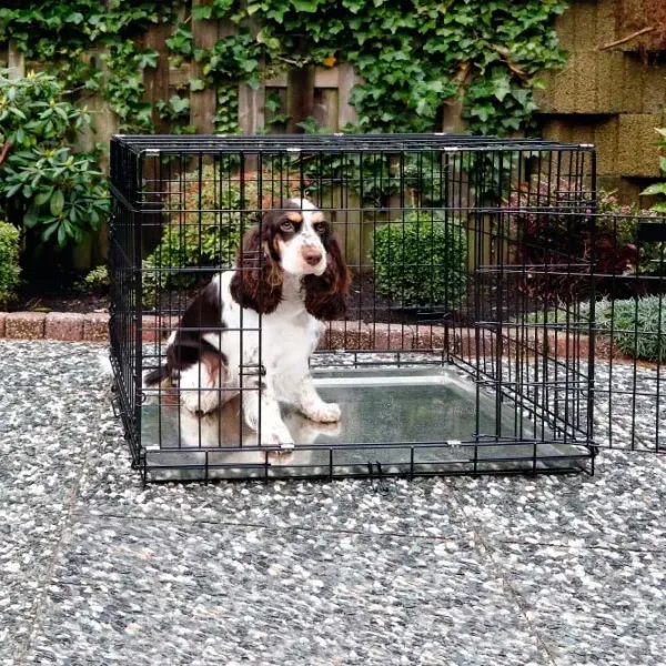 Клетка для собак Beeztees DOG BENCH 2-DOORS Металл / Черный photo 3