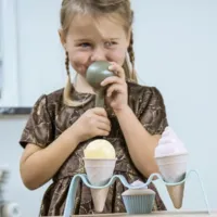 Joc de rol Dantoy BIO Ice Cream 3+ / Set de înghețată photo 2