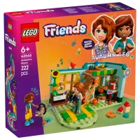 Constructor LEGO Autumn's Room Orașul Heartlake/ Multicolor