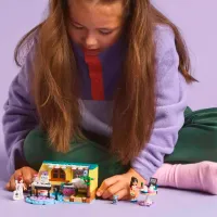 Constructor LEGO Paisley's Room Orașul Heartlake/ Multicolor photo 5