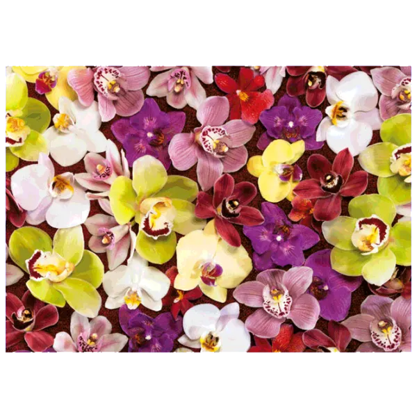 Puzzle Educa Orchid Collage 14+/ Numărul de piese: 1000 photo 2