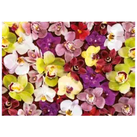 Puzzle Educa Orchid Collage 14+/ Numărul de piese: 1000 photo 2