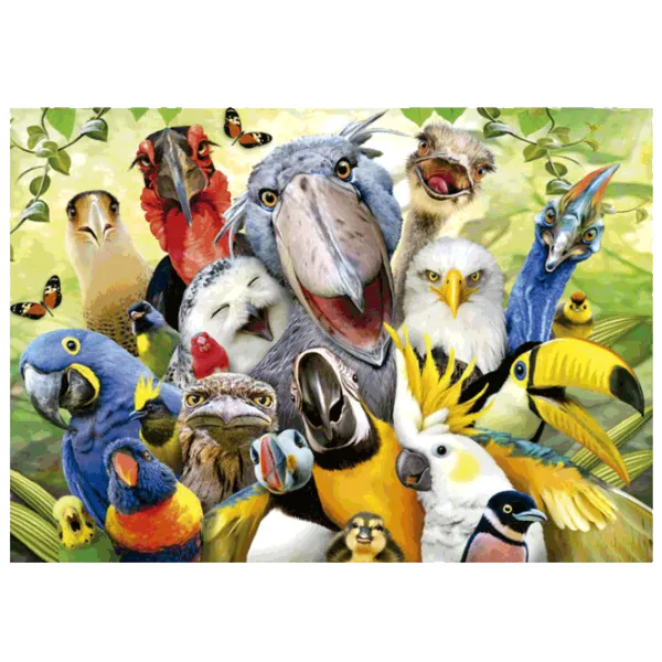 Puzzle Educa Watch The Birdie 11+/ Numărul de piese: 500 photo 2