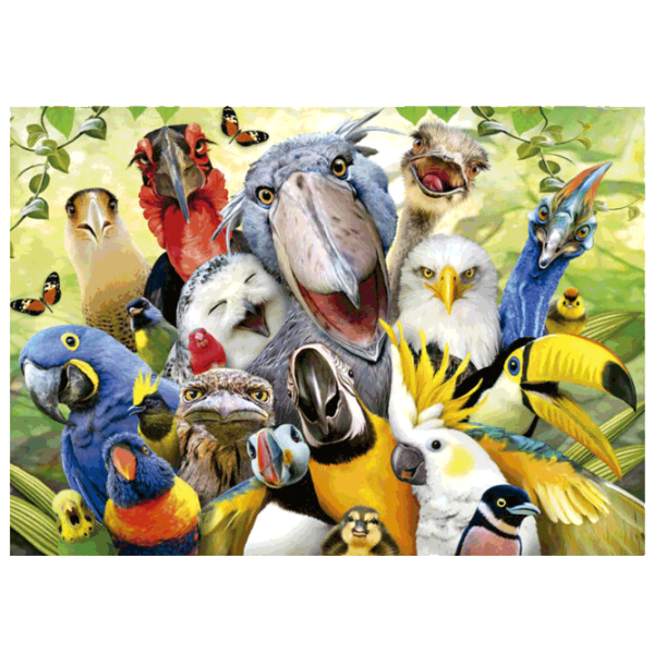 Puzzle Educa Watch The Birdie 11+/ Numărul de piese: 500 photo 2