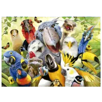 Puzzle Educa Watch The Birdie 11+/ Numărul de piese: 500 photo 2
