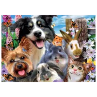 Puzzle Educa Funny Selfie 8+/ Numărul de piese: 500 photo 2
