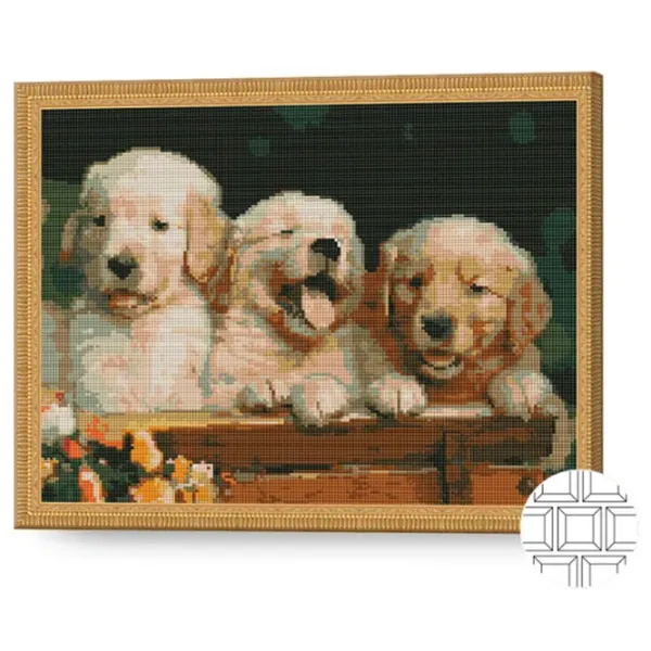 Mozaic Art Galery Premium Cateluș labrador  /  photo 2 Mozaic Art Galery Premium Cateluș labrador  /  photo 2
