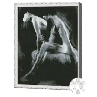 Mozaic Art Galery Premium Nuantele alb-negri ale pasiunii / photo 2