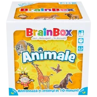 Joc de masă Asmodee BrainBox 8+/ Dezvoltare