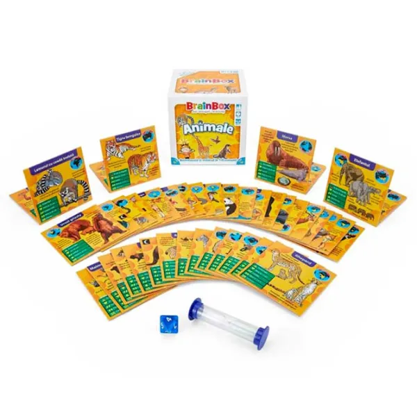 Joc de masă Asmodee BrainBox 8+/ Dezvoltare photo 3