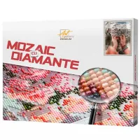 Мозайка Art Galery Premium Orasul in mană  / 