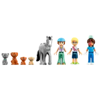 Constructor LEGO Horse and Pet Vet Clinic Clădire/ Multicolor photo 5