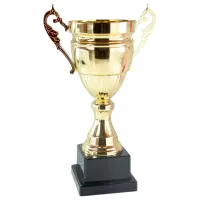 Cupă New World 2024C Metal / 34 cm