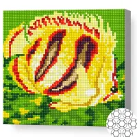 Мозайка Art Galery Premium Pestisor galben / photo 2