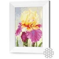 Mozaic New World Iris minunat / photo 2