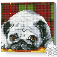 Mozaic Art Galery Premium Mops adormit / photo 2