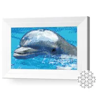 Mozaic New World Delfin / photo 2