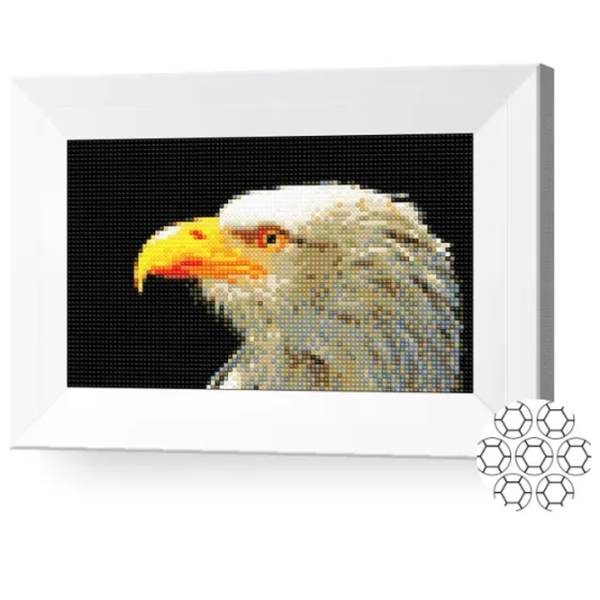 Мозайка New World Vultur  /  photo 2 Мозайка New World Vultur  /  photo 2