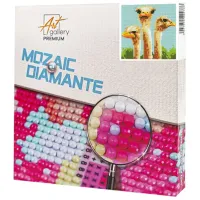 Mozaic Art Galery Premium Struți   / 