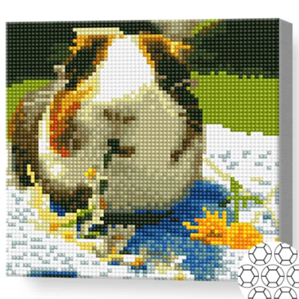 Мозайка Art Galery Premium Porcușor de Guineea manancă flori  /  photo 2 Мозайка Art Galery Premium Porcușor de Guineea manancă flori  /  photo 2