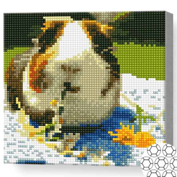 Мозайка Art Galery Premium Porcușor de Guineea manancă flori  /  photo 2 Мозайка Art Galery Premium Porcușor de Guineea manancă flori  /  photo 2