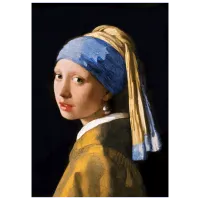 Puzzle Art Puzzle Girl with a Pearl Earring 15+/ Numărul de piese: 1000 photo 2